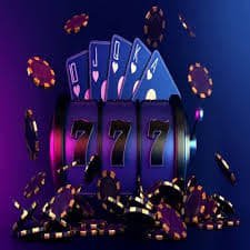 3336 bet com